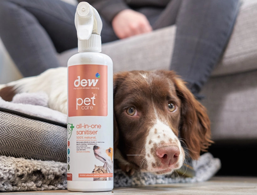 All-In-One Antibacterial: The Ultimate Solution For Pet Hygiene